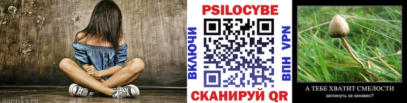 ОМГ ОМГ ссылка  Шахты  Псилоцибиновые грибы Psilocybe  где найти наркотики 